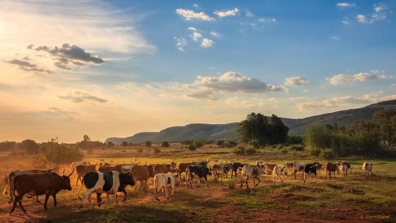 Ferienwohnung Thaba Manzi Ranch Magaliesburg Exterior foto